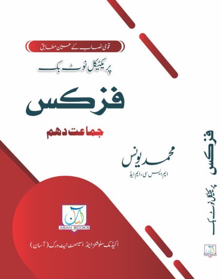 PRACTICAL NOTEBOOK PHYSICS 10TH UM